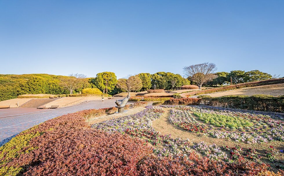 千葉県立青葉の森公園
