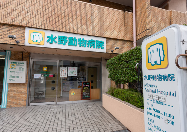 水野動物病院