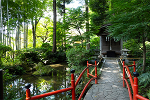 真姿の池湧水群