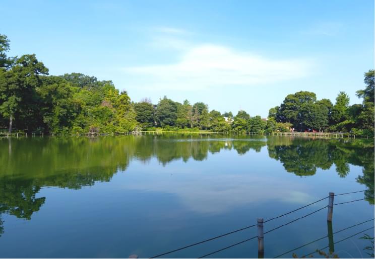 都立善福寺公園