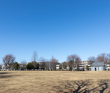 中村かしわ公園