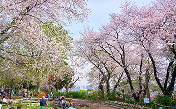夢見ヶ崎動物公園
