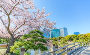 浜離宮恩賜庭園