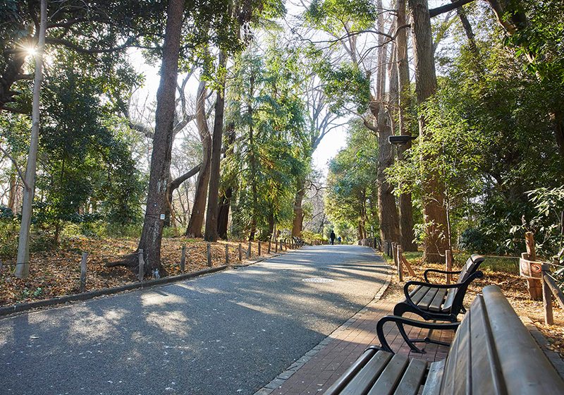 都立 林試の森公園