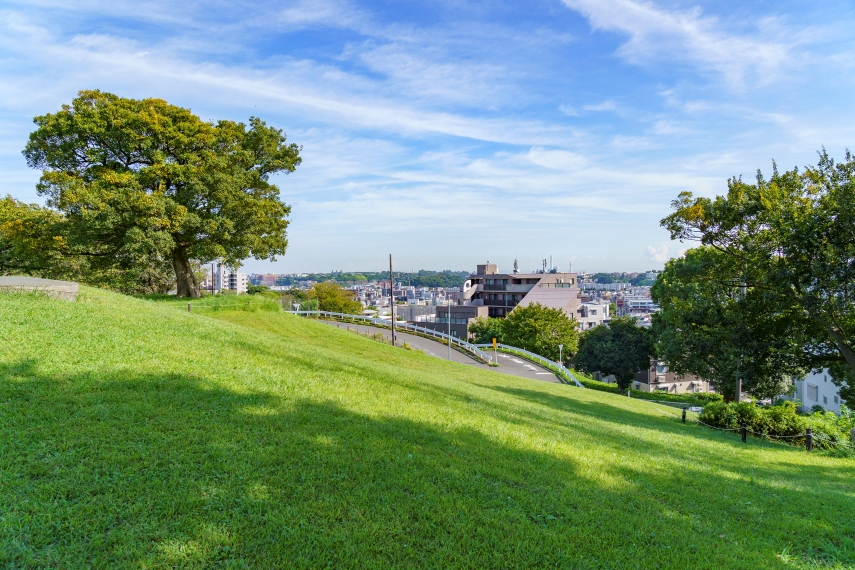 清水ケ丘公園