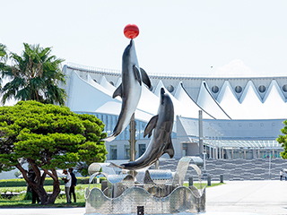 マリンワールド海の中道