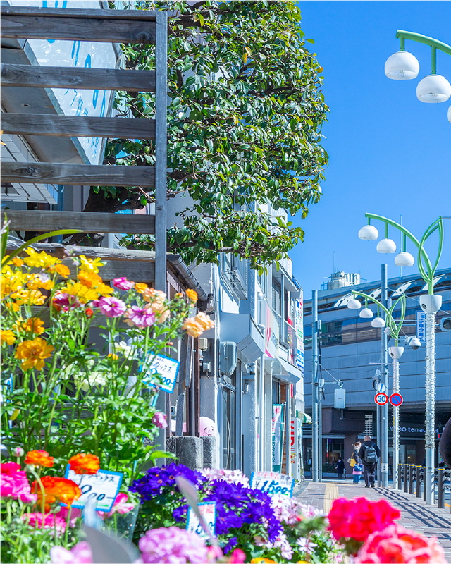 経堂すずらん通り商店街