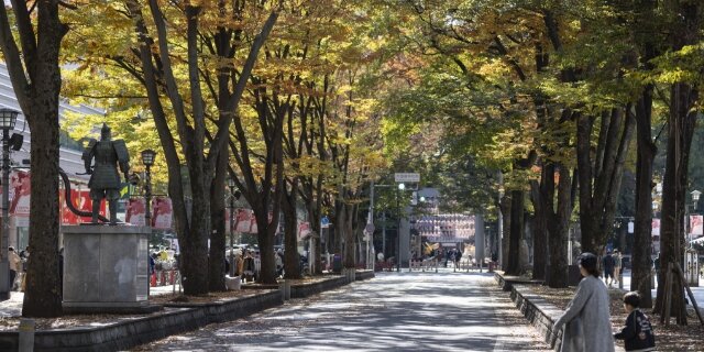 馬場大門ケヤキ並木