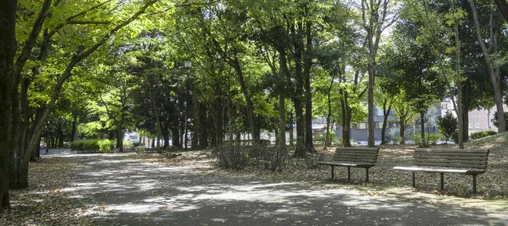 府中の森公園