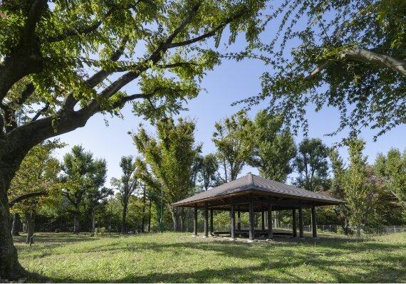 平和の森公園