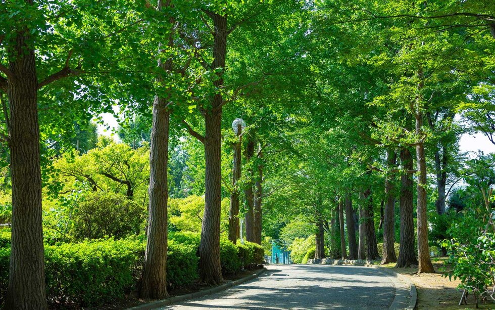 世田谷区立羽根木公園