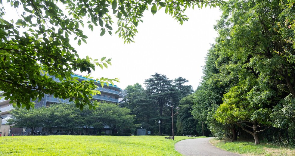 江古田の森公園