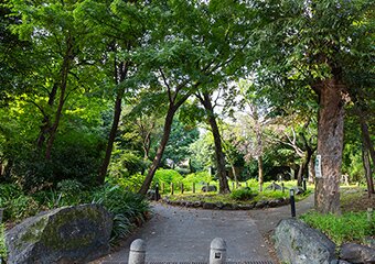 江原屋敷森緑地