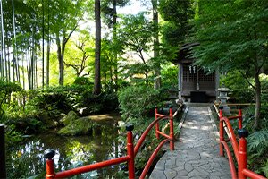 真姿の池湧水群