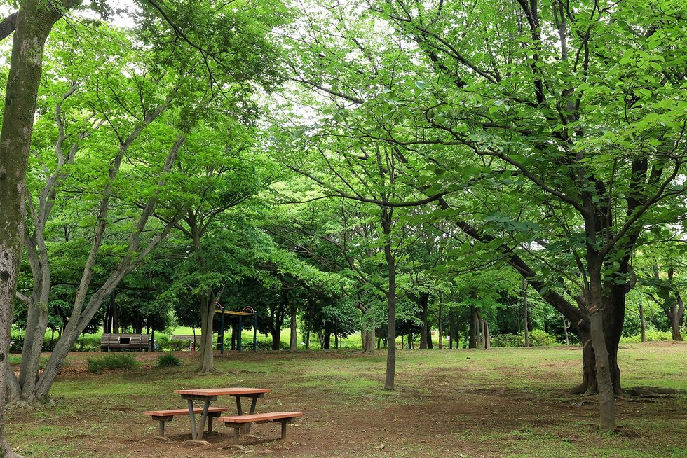 大泉中央公園