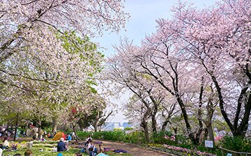 夢見ヶ崎動物公園