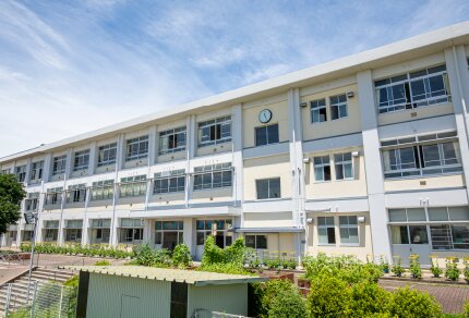 市立 大林小学校