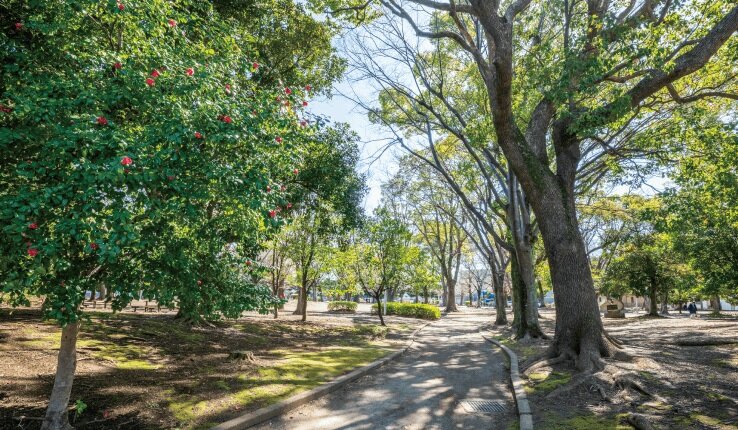 幕張台公園