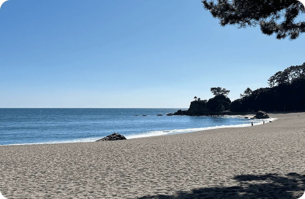 桂浜公園