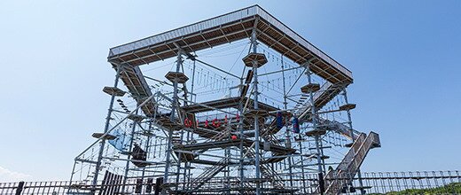 シー・ドラグーン