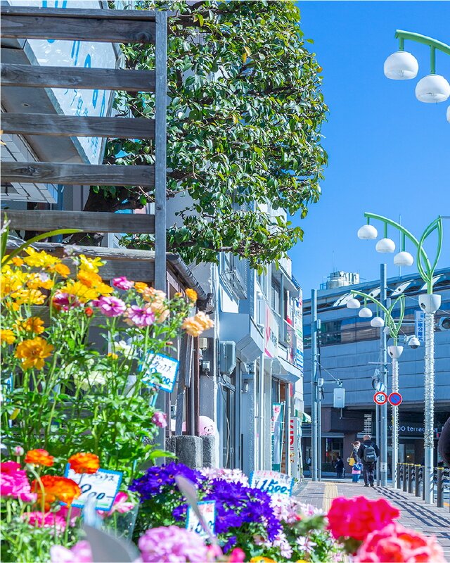 経堂すずらん通り商店街