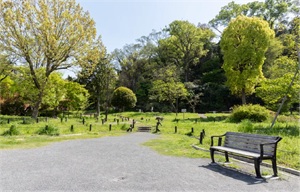 蒔田の森公園