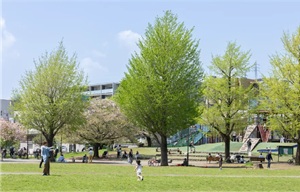 蒔田公園
