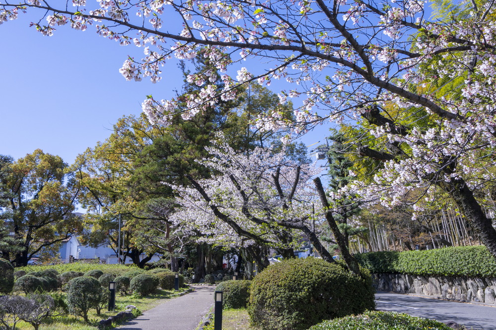 桶狭間古戦場伝説地