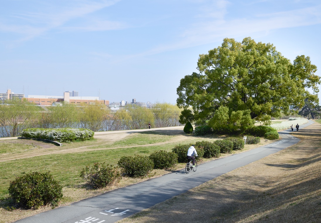 武庫川河川敷緑地