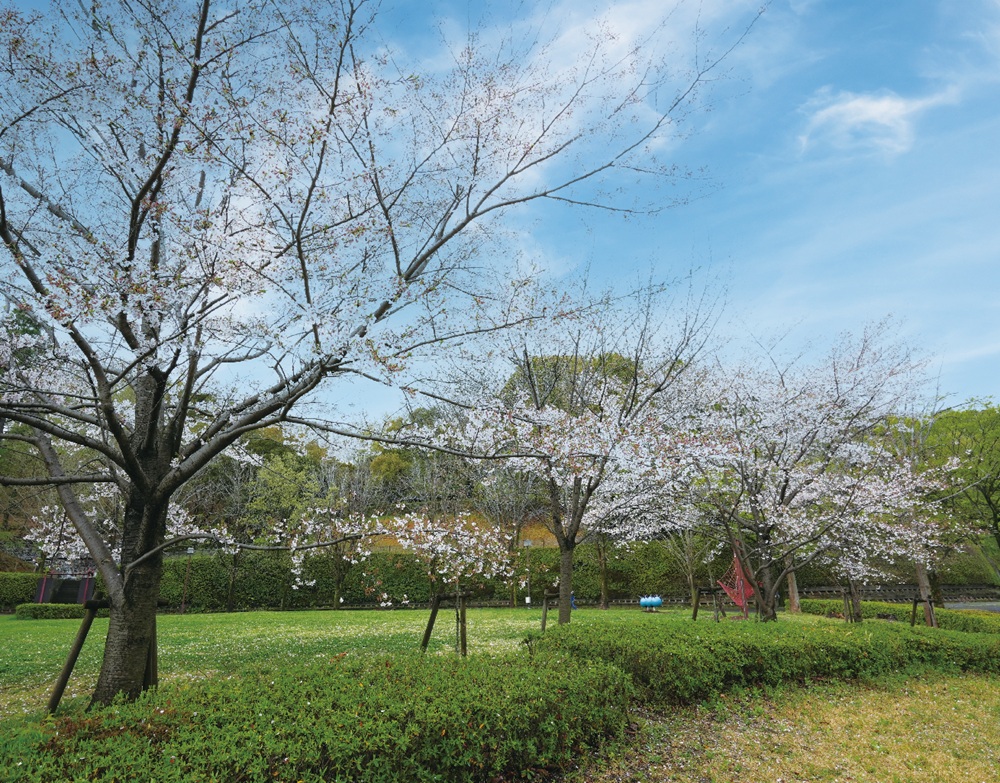 城山公園
