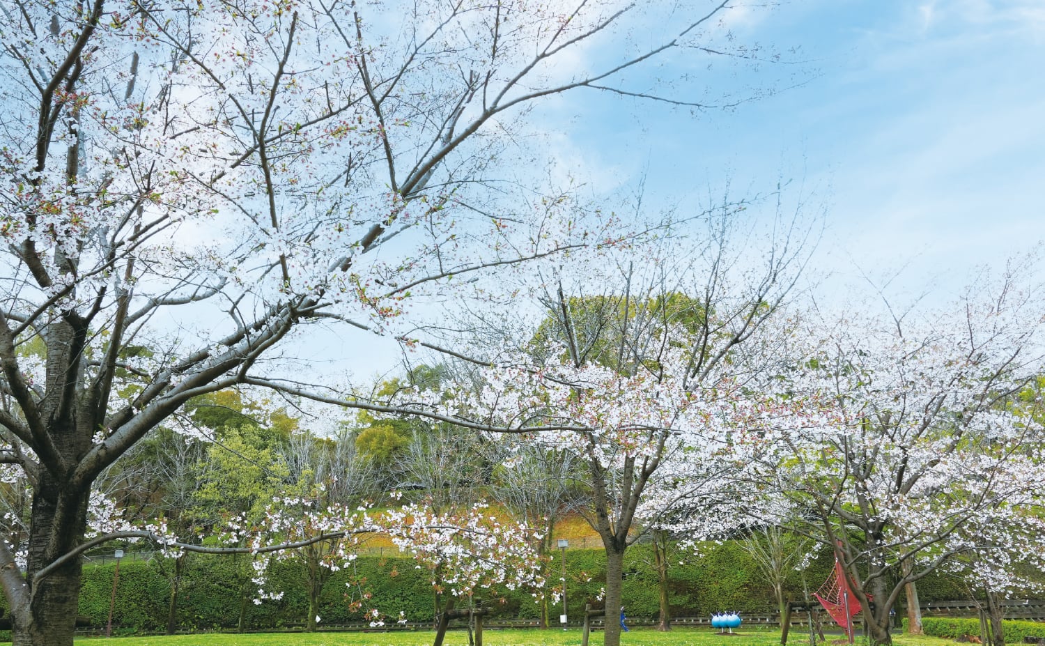 城山公園
