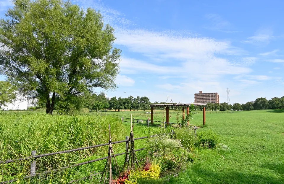 都立尾久の原公園