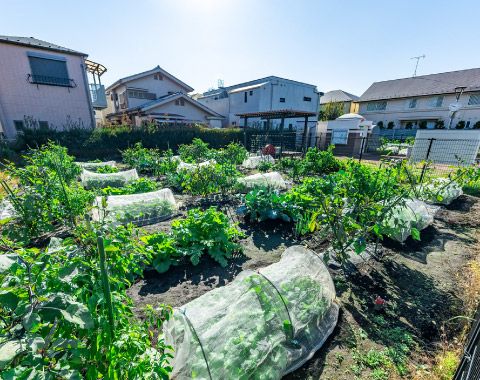 吉祥寺東町農業公園