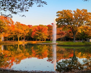 代々木公園