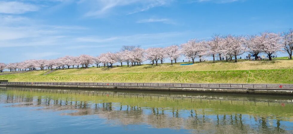 赤羽桜堤緑地