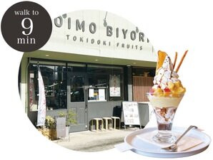 OIMO BIYORI TOKIDOKI FRUITS