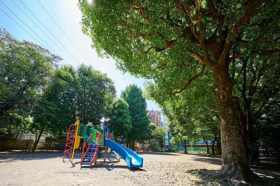 丸山公園