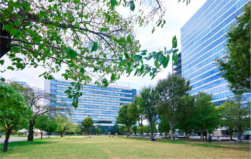 中野四季の森公園