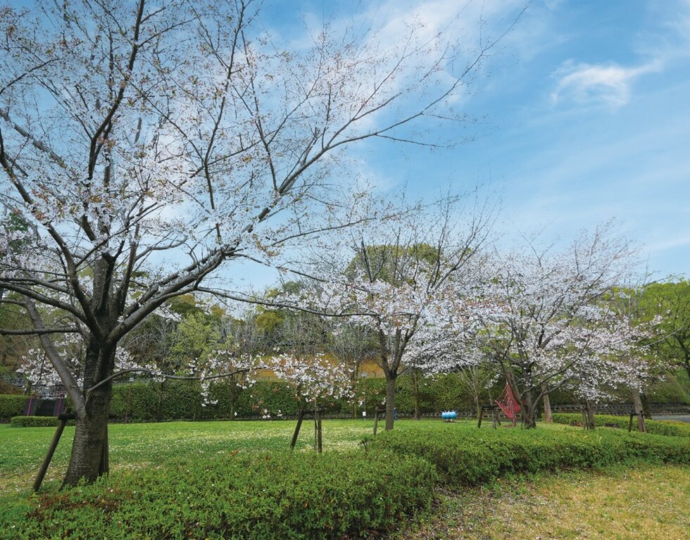 城山公園
