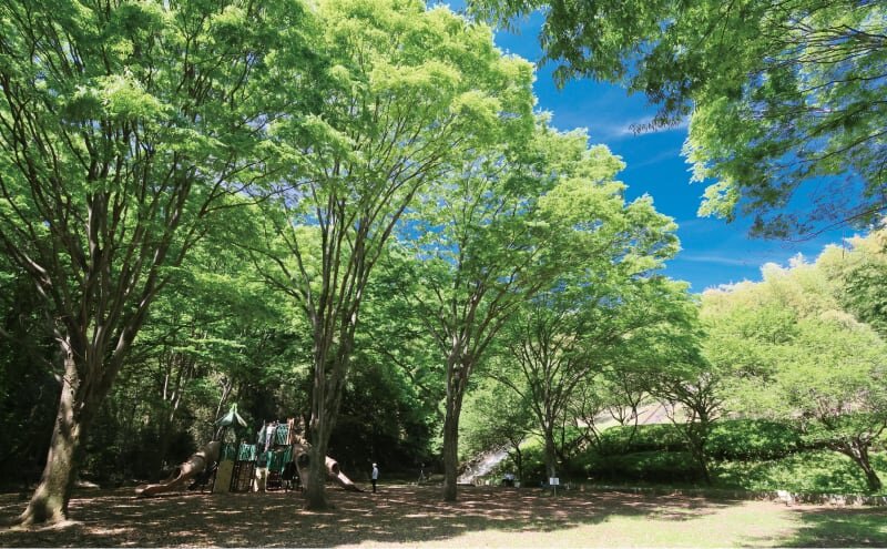 稲城中央公園