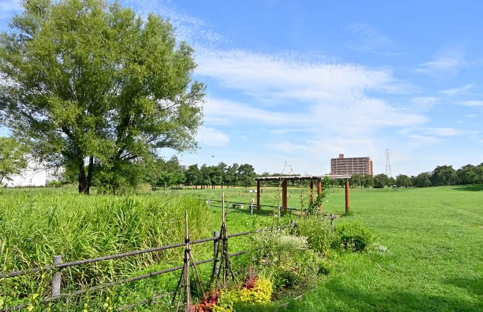 都立尾久の原公園