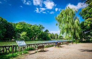善福寺公園