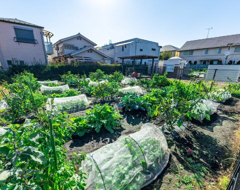 吉祥寺東町農業公園