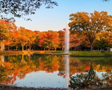 代々木公園