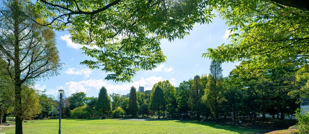 大谷田公園
