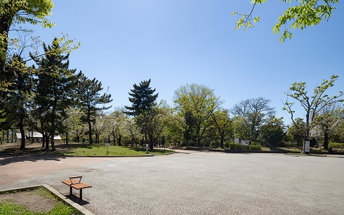 しょうぶ沼公園