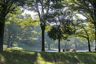 中川公園