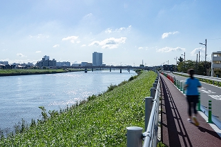 中川遊歩道