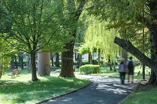 東綾瀬公園