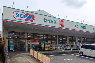 ドラッグセイムス 東和店